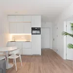 Brand New And Modern 1Bdr Apartment