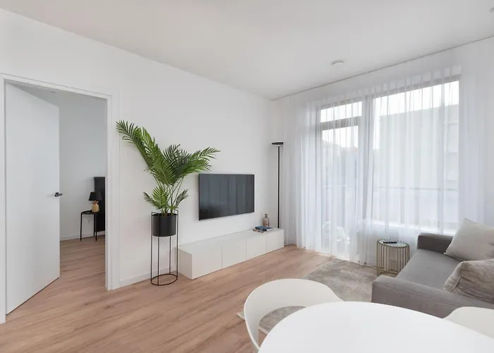 Brand New And Modern 1Bdr Apartment